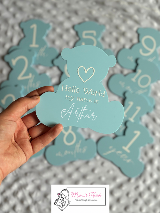 Blue Teddy Baby Milestone Plaques | Pack of 13 image 0