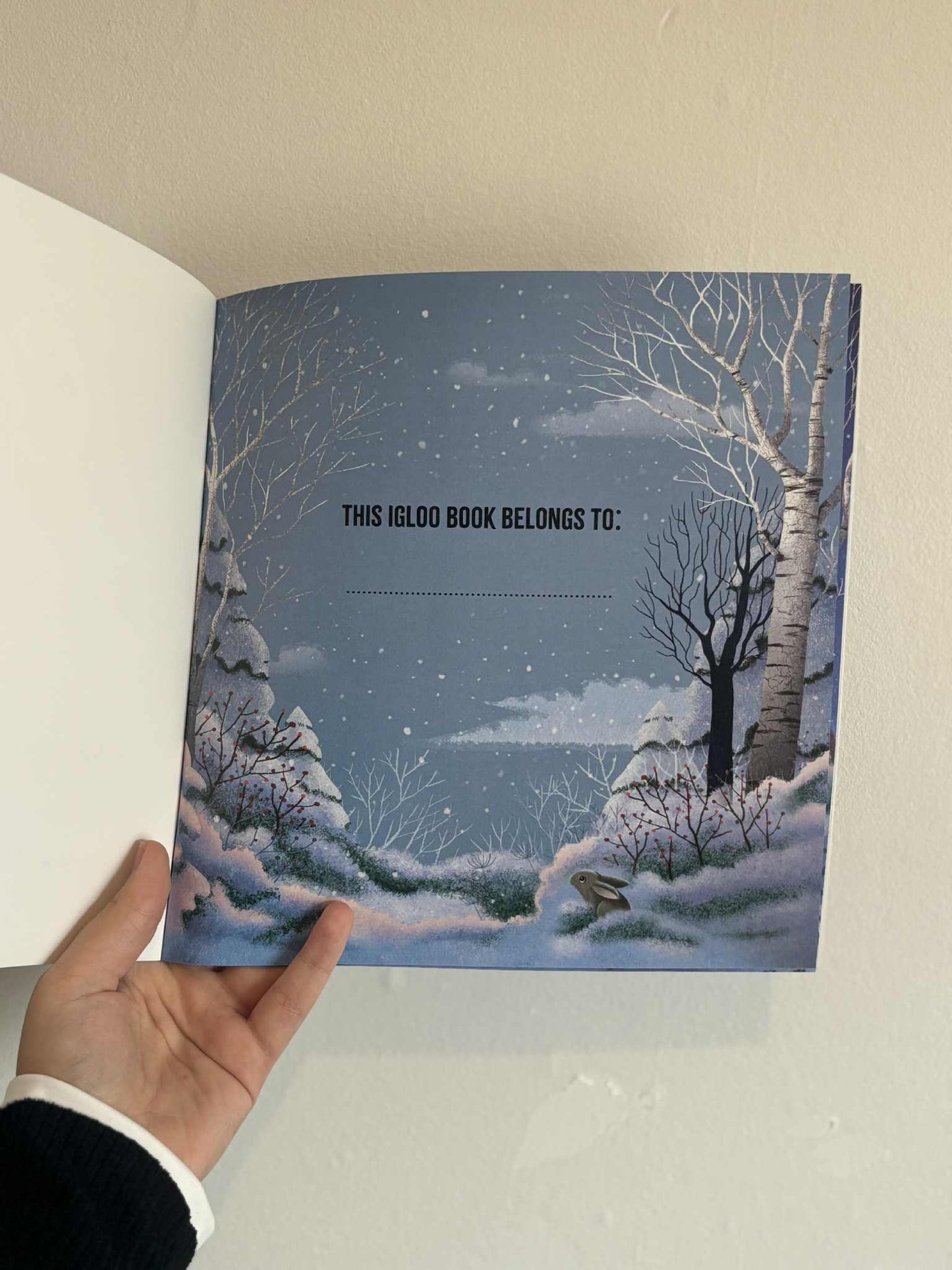 A Christmas Carol Story Book by Charles Dickens