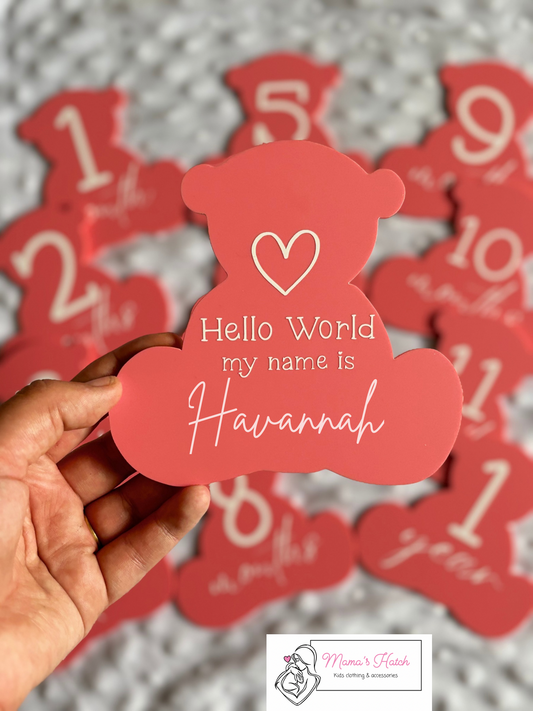 Pink Teddy Baby Milestone Plaques | Pack of 13 image 0