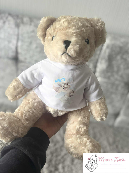 Travel Buddy Teddy - Blue